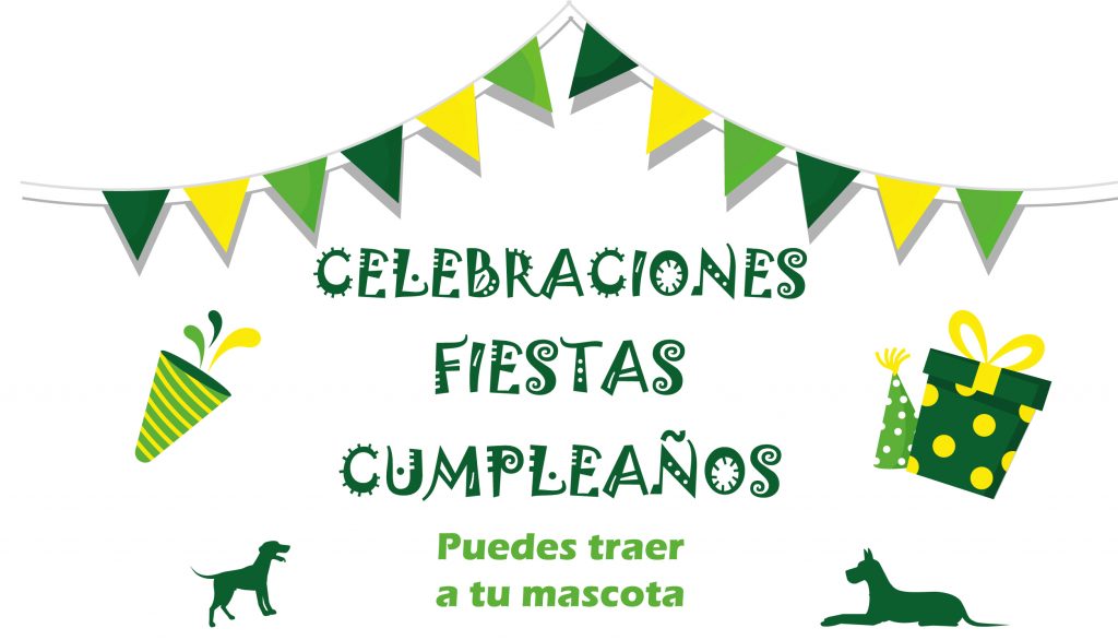 ali kebab celebracion